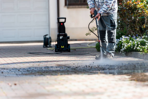 Best Affordable Power Washing  in Lambertville, MI