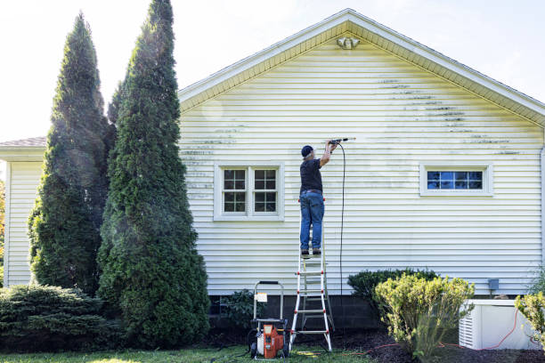 Deck Cleaning Services in Lambertville, MI