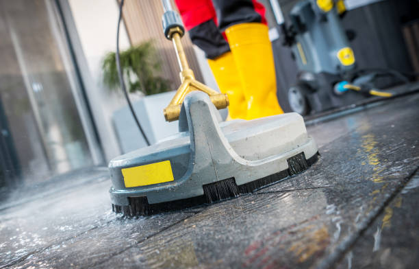 Best Pressure Washing Near Me  in Lambertville, MI